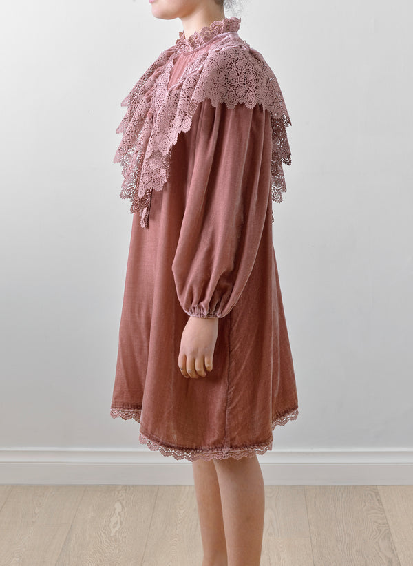 Petite Amalie Velvet Lace Dress