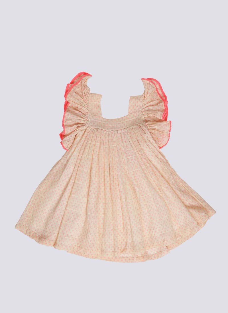 Paisley Magic Ria Dress