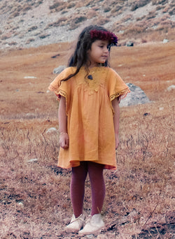 Louise Misha Dress Safita in Safran