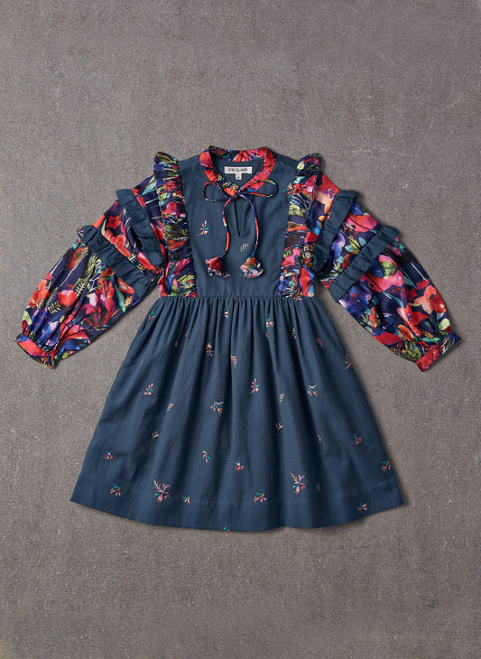 Nellystella Amberbelle Dress in Autumn Melody Embroidery