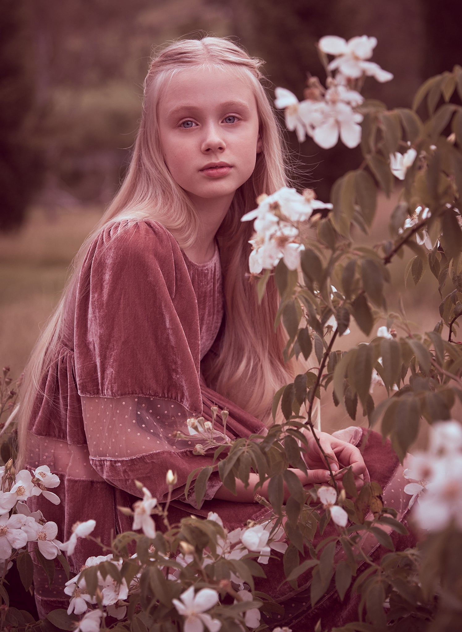 petite amalie pink dress PETITE AMALIE FUCHSIA PUFF SLEEVE EYELET DRESS