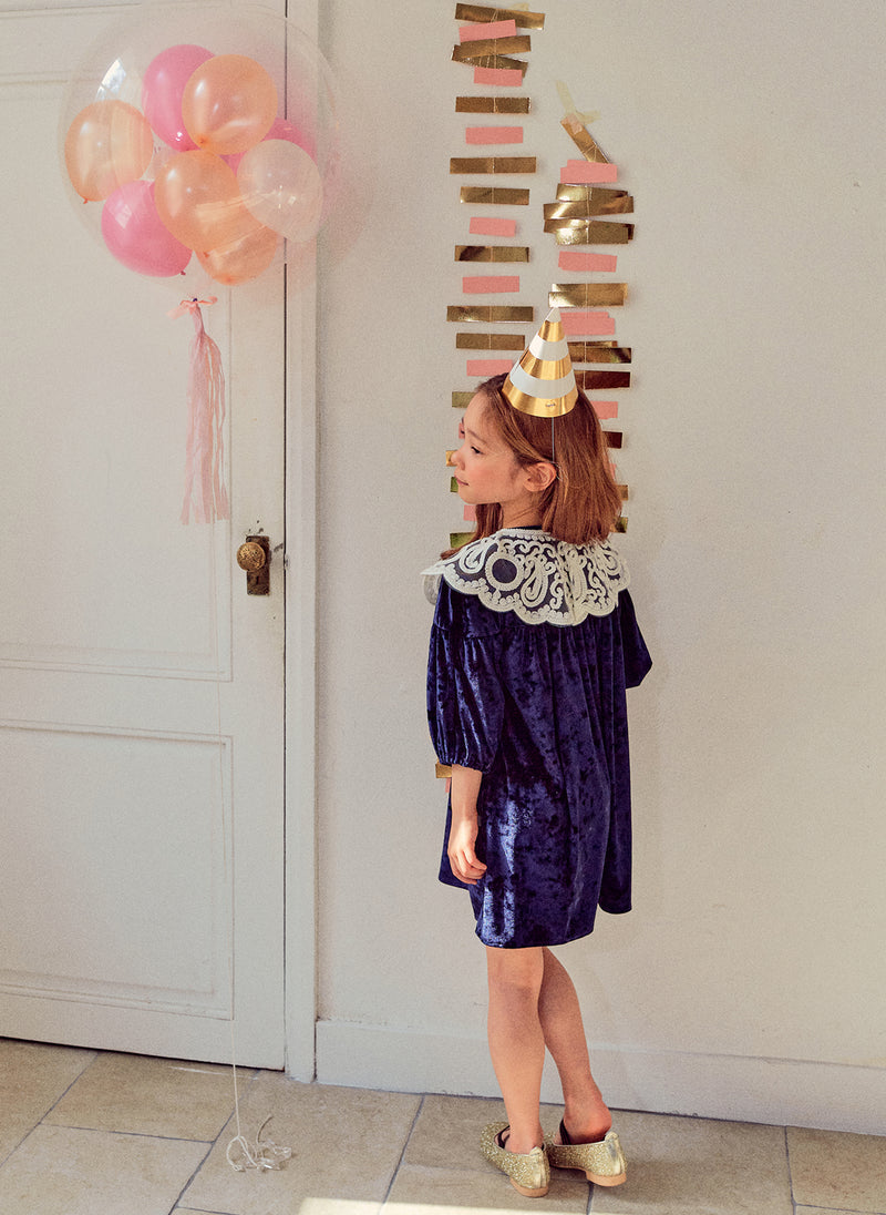 Petite Hailey Lace Collar Dress